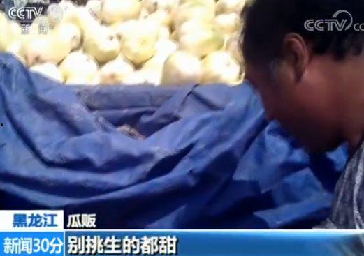 吃瓜都市迷全集,揭秘娱乐圈背后的秘密与真相